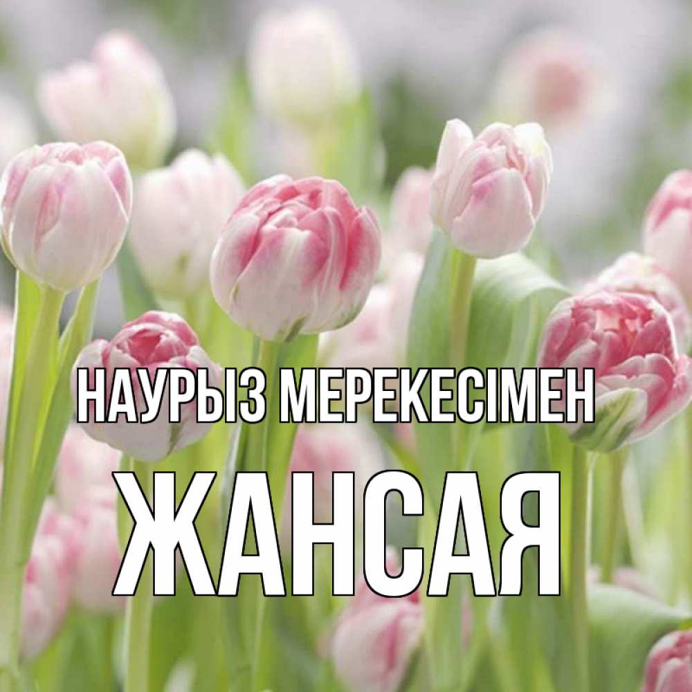 Күн сайын ашық хат с именем, ЖАНСАЯ Наурыз мерекесімен цветы Онлайн тегін жүктеп алу тілектері бар керемет карта 