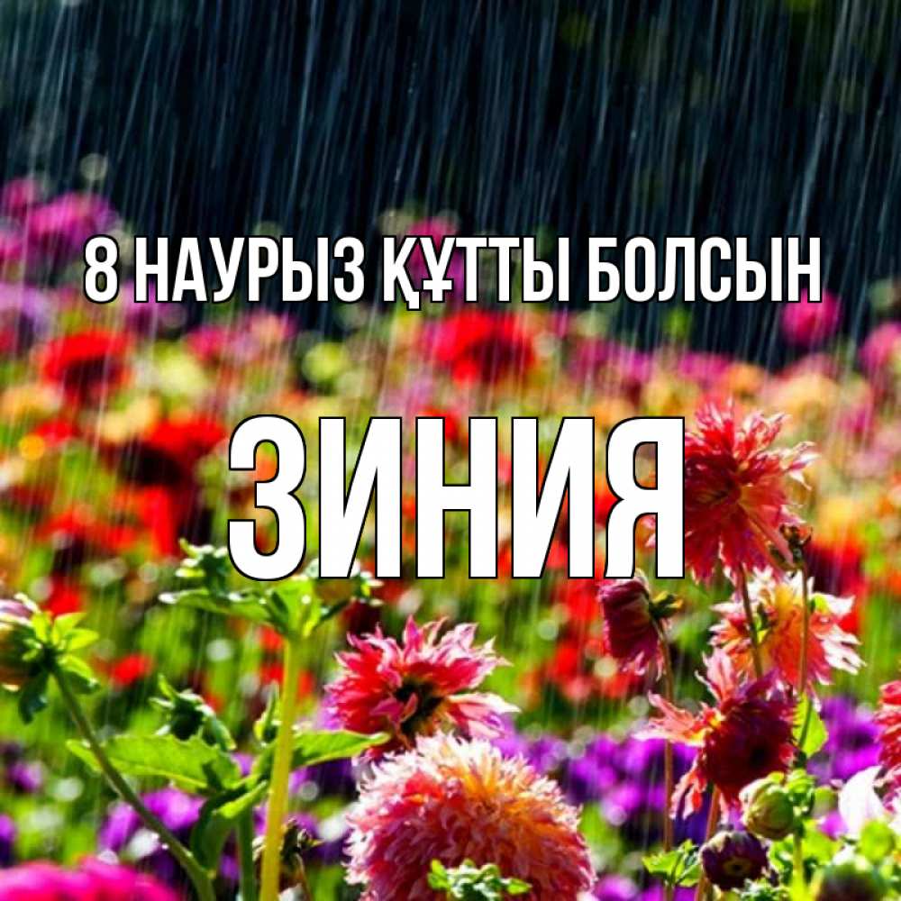 Күн сайын ашық хат с именем, ЗИНИЯ 8 наурыз құтты болсын цветы под дождиком к международному женскому дню Онлайн тегін жүктеп алу тілектері бар керемет карта 