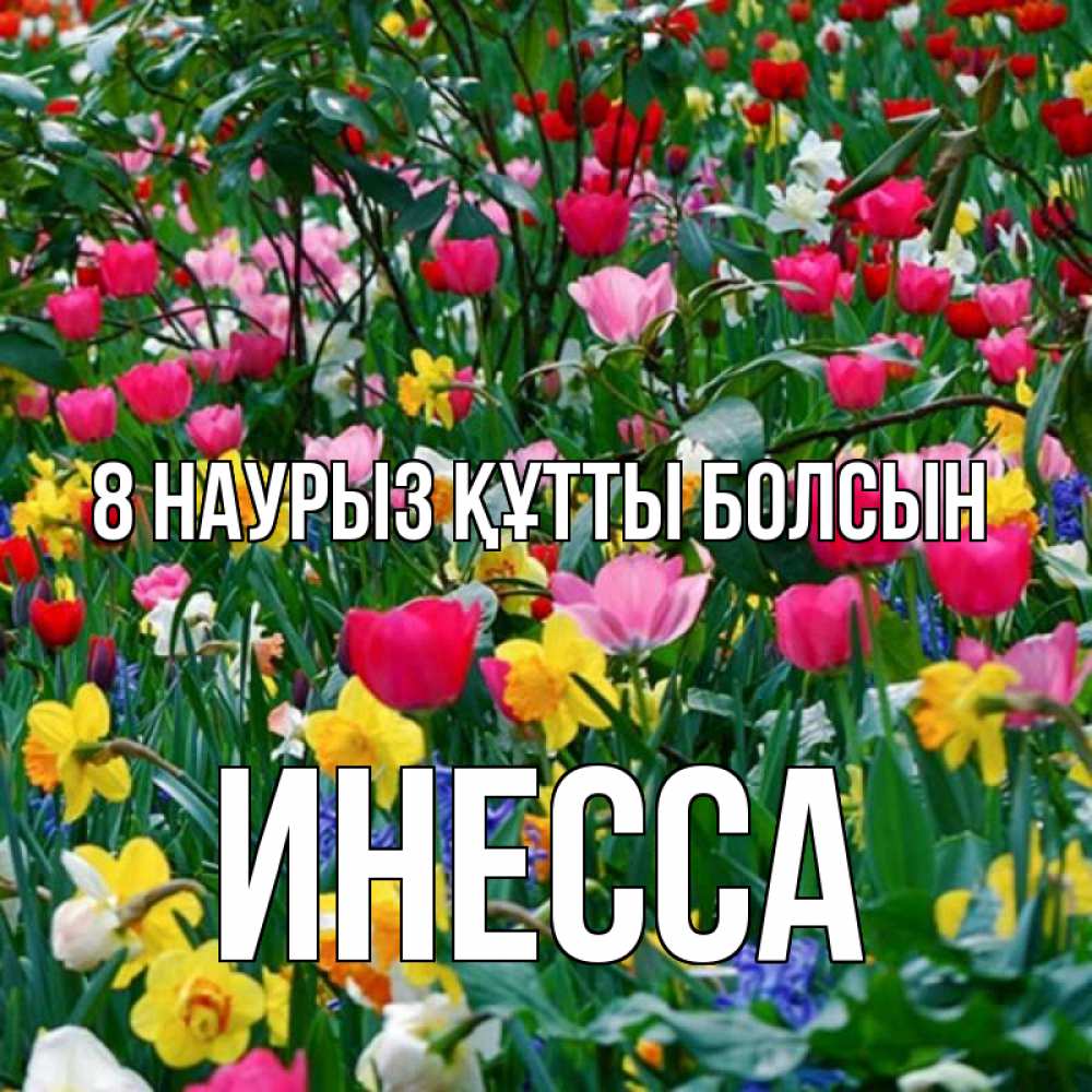 Күн сайын ашық хат с именем, Инесса 8 наурыз құтты болсын с международным женским днем поздравления для женщины Онлайн тегін жүктеп алу тілектері бар керемет карта 