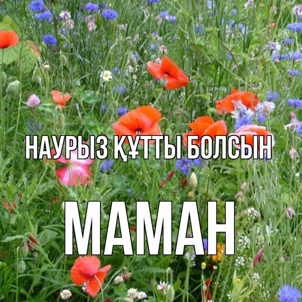 Күн сайын ашық хат с именем, МАМАН Наурыз құтты болсын наурыз  4 Онлайн тегін жүктеп алу тілектері бар керемет карта 