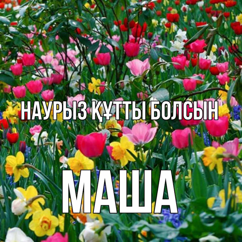 Күн сайын ашық хат с именем, Маша Наурыз құтты болсын с наурызом поздравления для женщины Онлайн тегін жүктеп алу тілектері бар керемет карта 