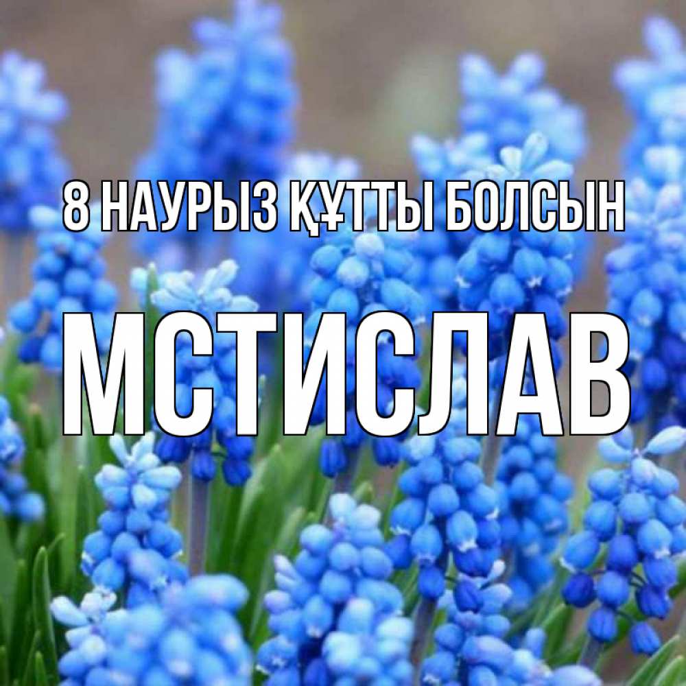 Күн сайын ашық хат с именем, Мстислав 8 наурыз құтты болсын Поздравительная открытка для женщин с цветами на праздничную дату Онлайн тегін жүктеп алу тілектері бар керемет карта 
