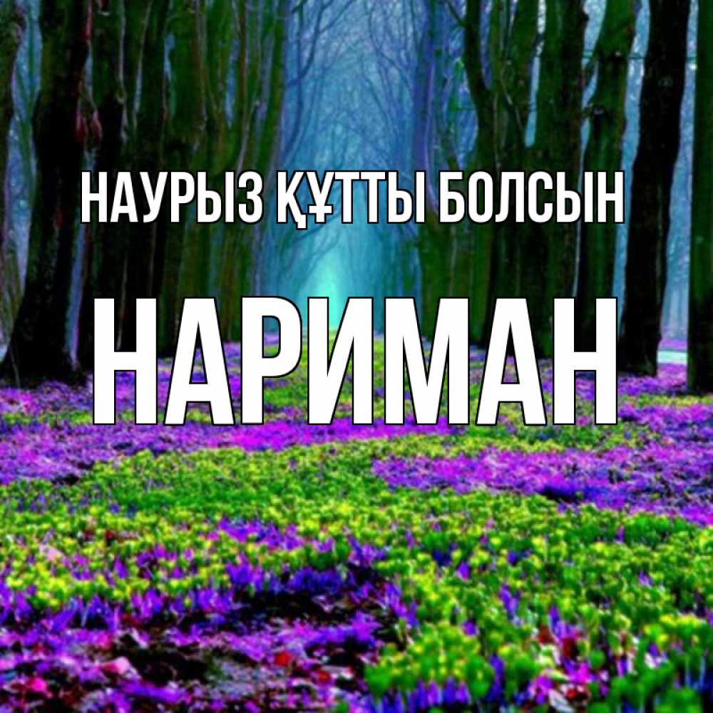 Күн сайын ашық хат с именем, НАРИМАН Наурыз құтты болсын фиолетовые цветы в лесу 1 Онлайн тегін жүктеп алу тілектері бар керемет карта 