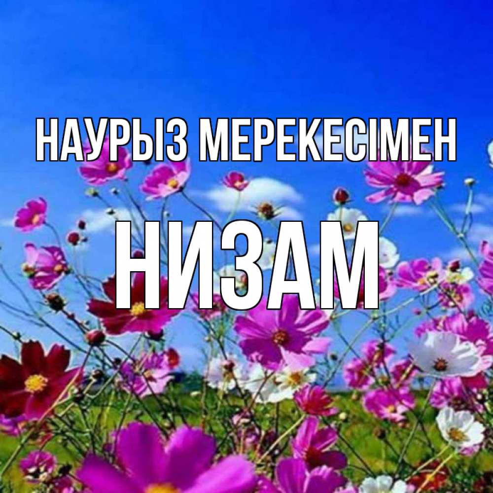 Күн сайын ашық хат с именем, НИЗАМ Наурыз мерекесімен цветы Онлайн тегін жүктеп алу тілектері бар керемет карта 