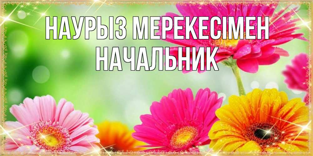 Күн сайын ашық хат с именем, Начальник Наурыз мерекесімен цветочки для любимой женщины Онлайн тегін жүктеп алу тілектері бар керемет карта 