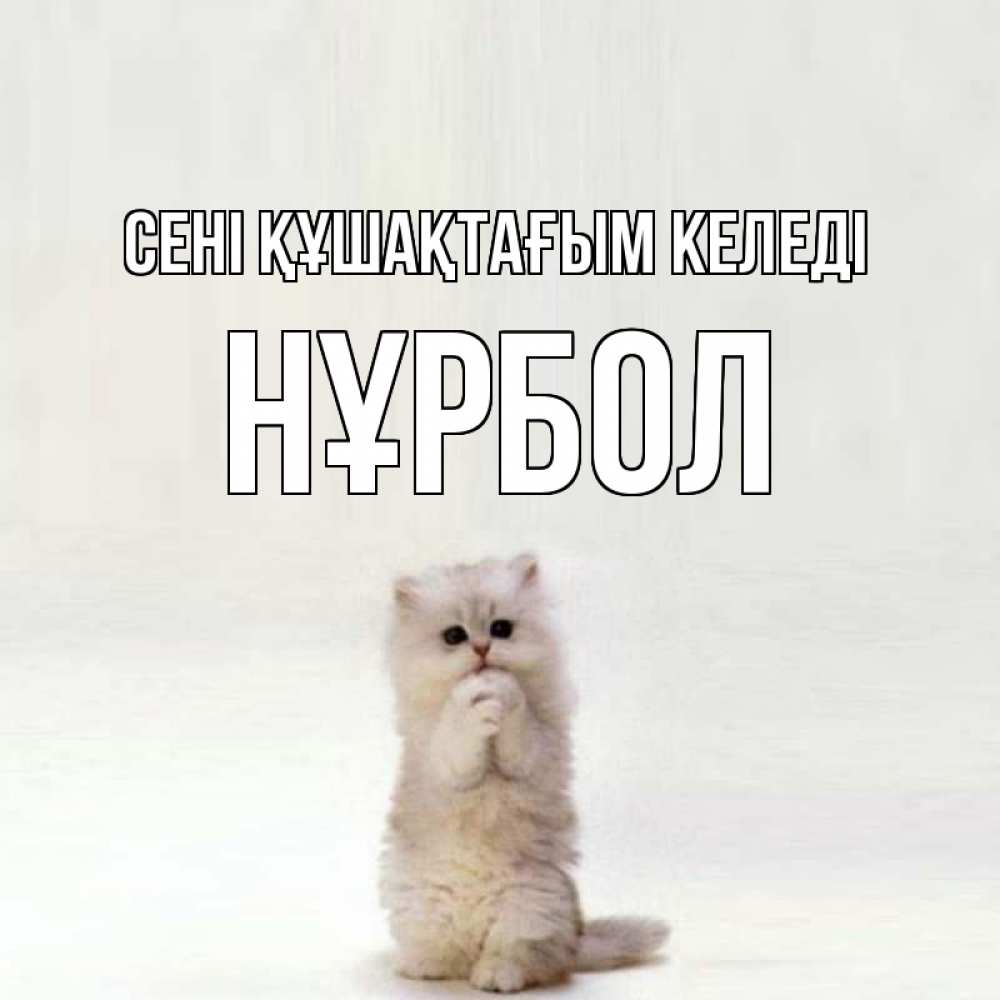 Күн сайын ашық хат с именем, НҰРБОЛ сені құшақтағым келеді открытки с креативными подписями Онлайн тегін жүктеп алу тілектері бар керемет карта 
