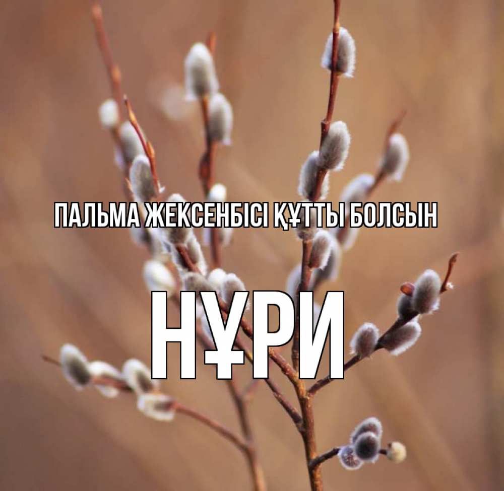 Күн сайын ашық хат с именем, НҰРИ Пальма жексенбісі құтты болсын верба Онлайн тегін жүктеп алу тілектері бар керемет карта 