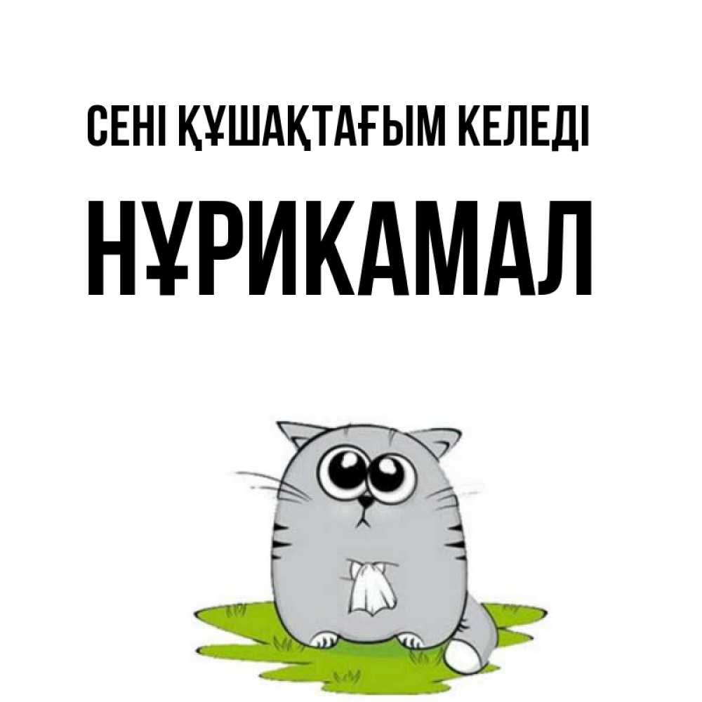 Күн сайын ашық хат с именем, НҰРИКАМАЛ сені құшақтағым келеді котик теребит платочек сидя на травке Онлайн тегін жүктеп алу тілектері бар керемет карта 