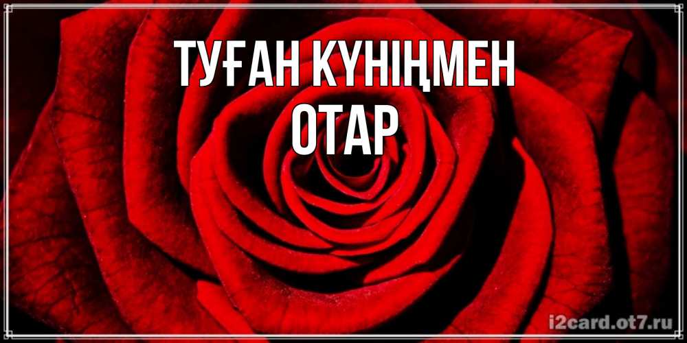 Күн сайын ашық хат с именем, ОТАР Туған күніңмен алая роза Онлайн тегін жүктеп алу тілектері бар керемет карта 