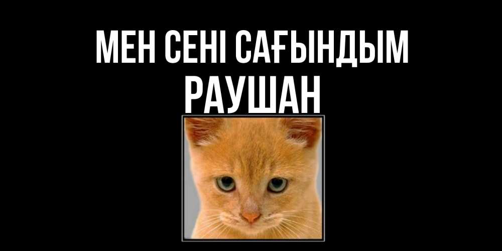 Күн сайын ашық хат с именем, РАУШАН Мен сені сағындым открытки рыжий котенок скучает по тебе Онлайн тегін жүктеп алу тілектері бар керемет карта 