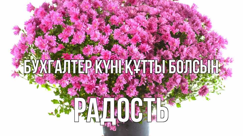 Күн сайын ашық хат с именем, Радость бухгалтер күні құтты болсын с днем бухгалтера Онлайн тегін жүктеп алу тілектері бар керемет карта 