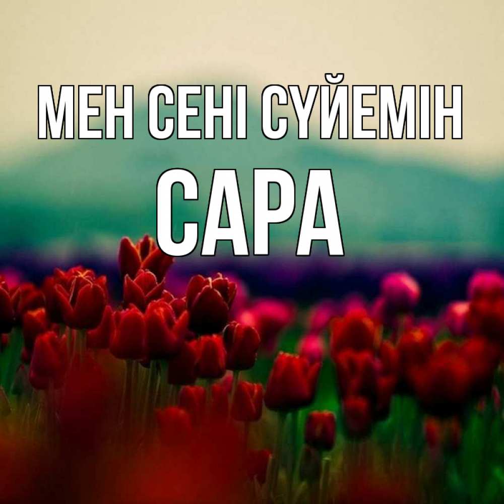 Күн сайын ашық хат с именем, САРА Мен сені сүйемін тюльпаны 4 Онлайн тегін жүктеп алу тілектері бар керемет карта 