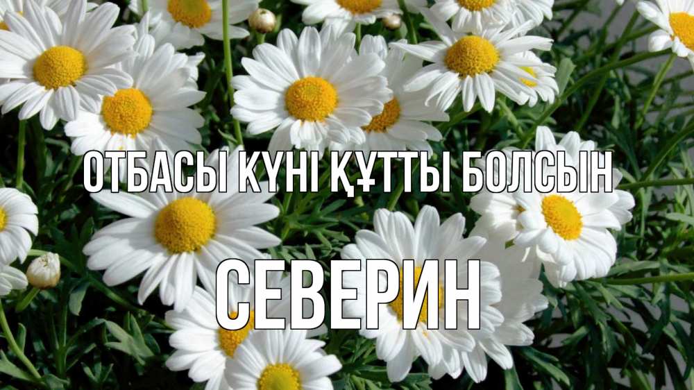 Күн сайын ашық хат с именем, Северин отбасы күні құтты болсын с днем семьи Онлайн тегін жүктеп алу тілектері бар керемет карта 