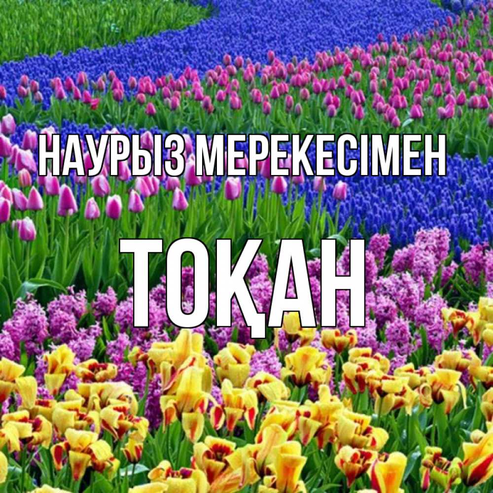 Күн сайын ашық хат с именем, ТОҚАН Наурыз мерекесімен цветы Онлайн тегін жүктеп алу тілектері бар керемет карта 