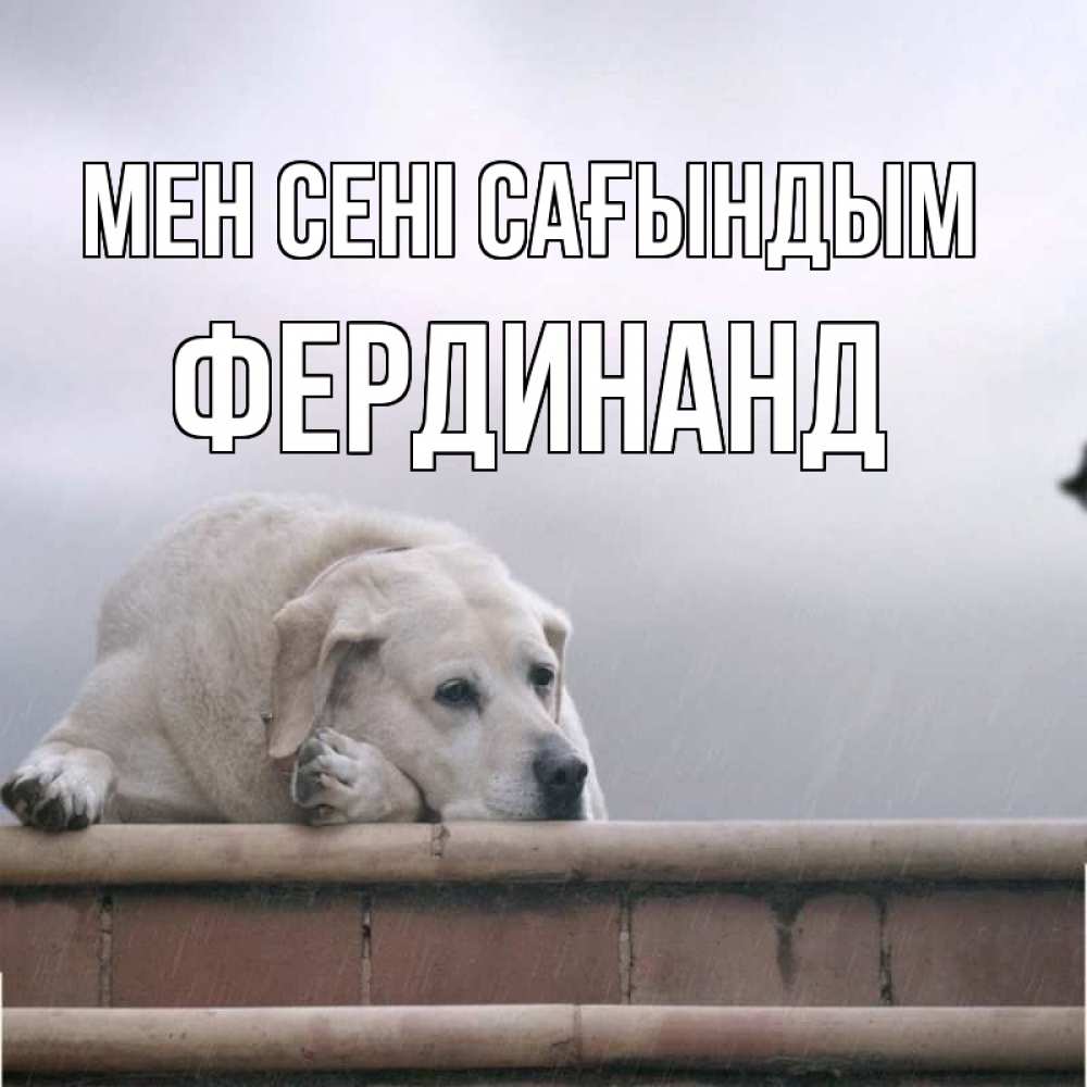 Күн сайын ашық хат с именем, Фердинанд Мен сені сағындым ждет Онлайн тегін жүктеп алу тілектері бар керемет карта 