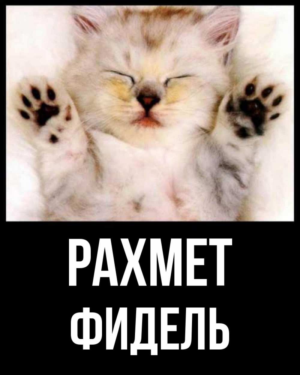 Күн сайын ашық хат с именем, Фидель рахмет маленький котенок Онлайн тегін жүктеп алу тілектері бар керемет карта 