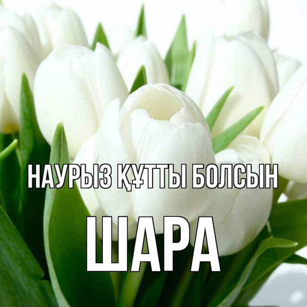 Күн сайын ашық хат с именем, ШАРА Наурыз құтты болсын цветы Онлайн тегін жүктеп алу тілектері бар керемет карта 