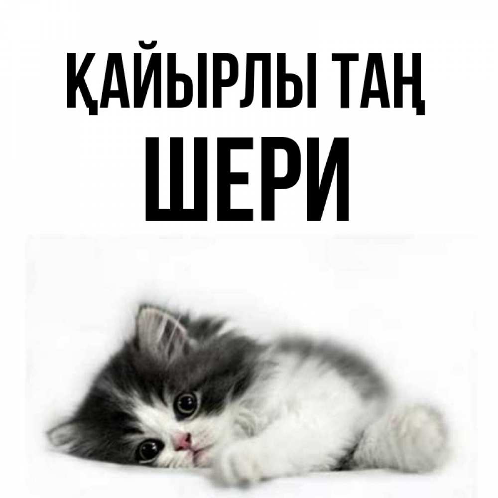 Күн сайын ашық хат с именем, ШЕРИ Қайырлы таң кот лапки Онлайн тегін жүктеп алу тілектері бар керемет карта 