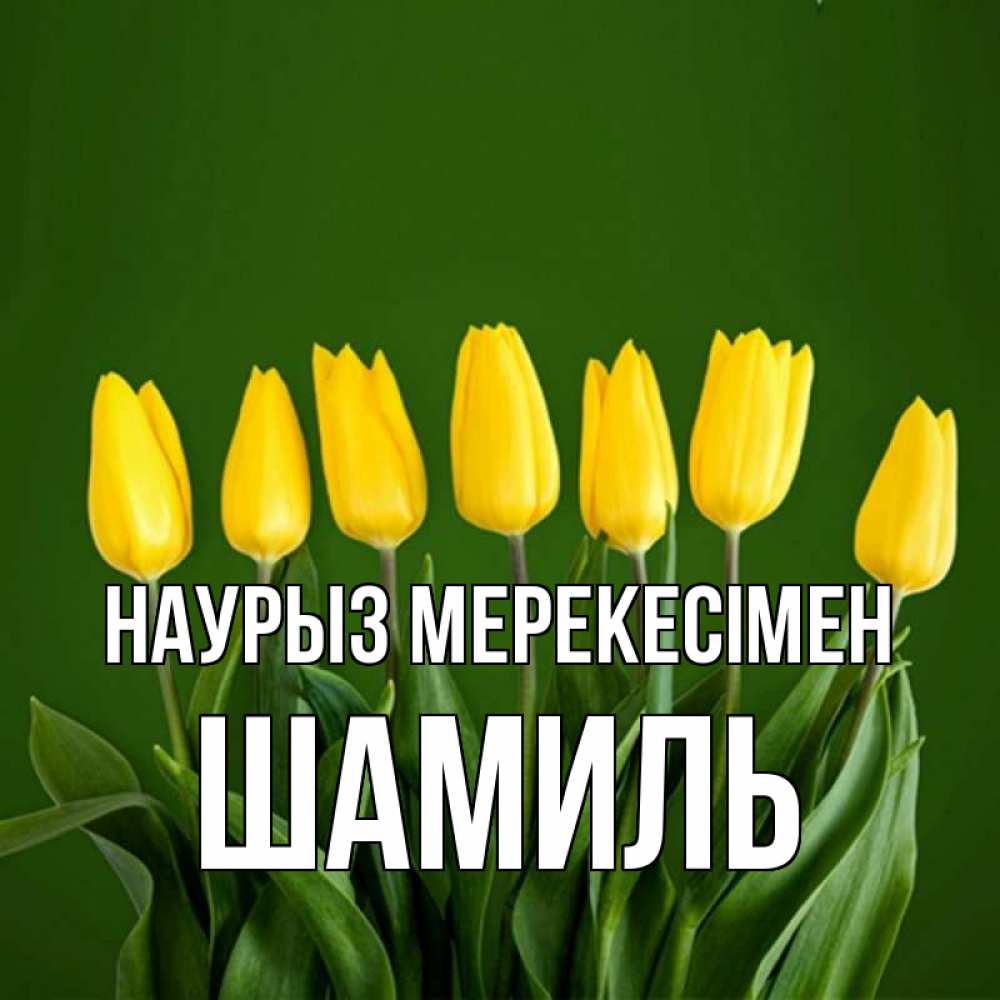 Күн сайын ашық хат с именем, Шамиль Наурыз мерекесімен желтого цвета 3 Онлайн тегін жүктеп алу тілектері бар керемет карта 