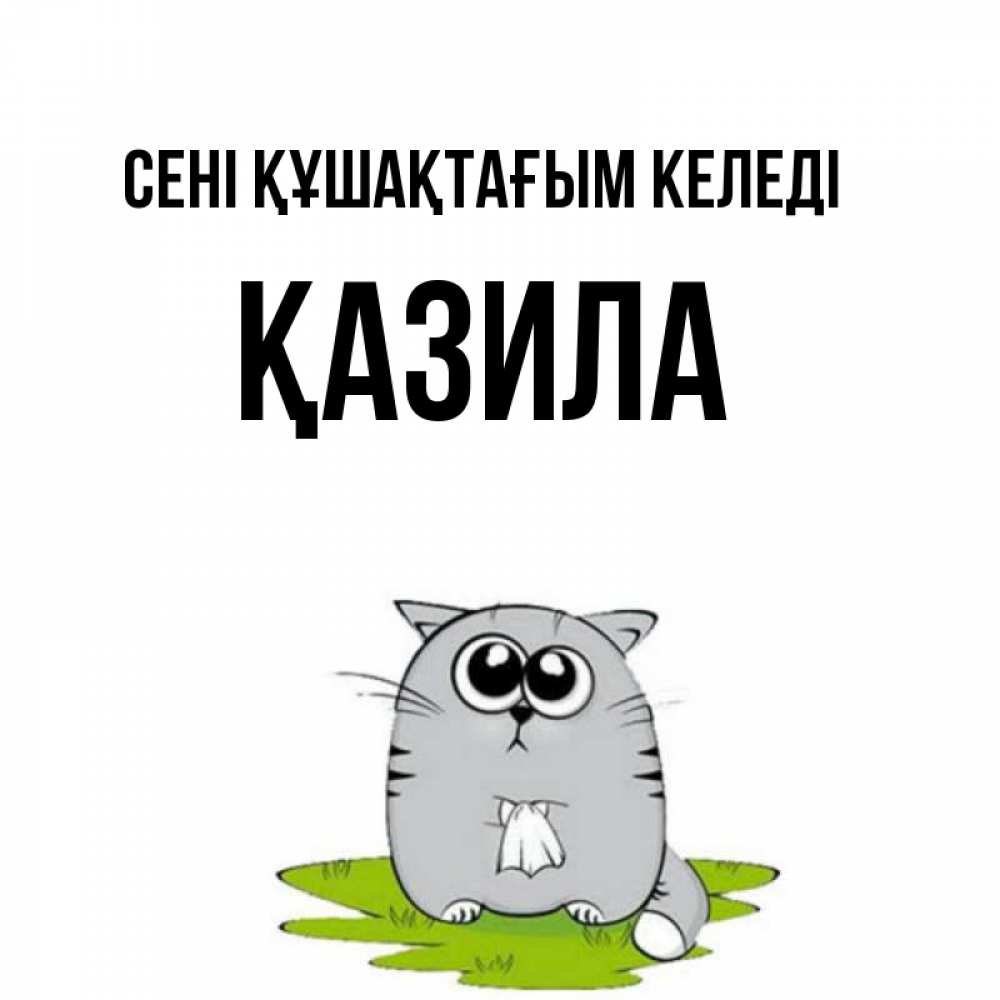 Күн сайын ашық хат с именем, ҚАЗИЛА сені құшақтағым келеді котик теребит платочек сидя на травке Онлайн тегін жүктеп алу тілектері бар керемет карта 