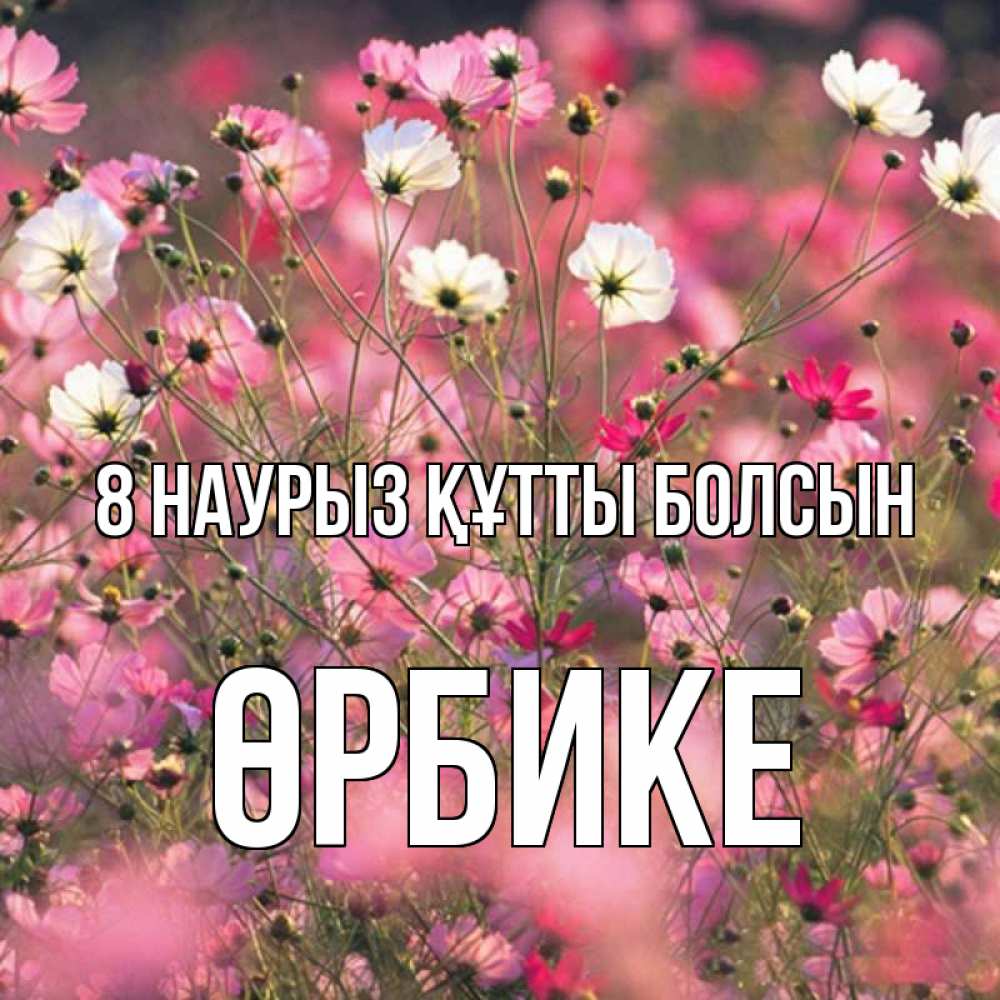 Күн сайын ашық хат с именем, ӨРБИКЕ 8 наурыз құтты болсын красиво 1 Онлайн тегін жүктеп алу тілектері бар керемет карта 