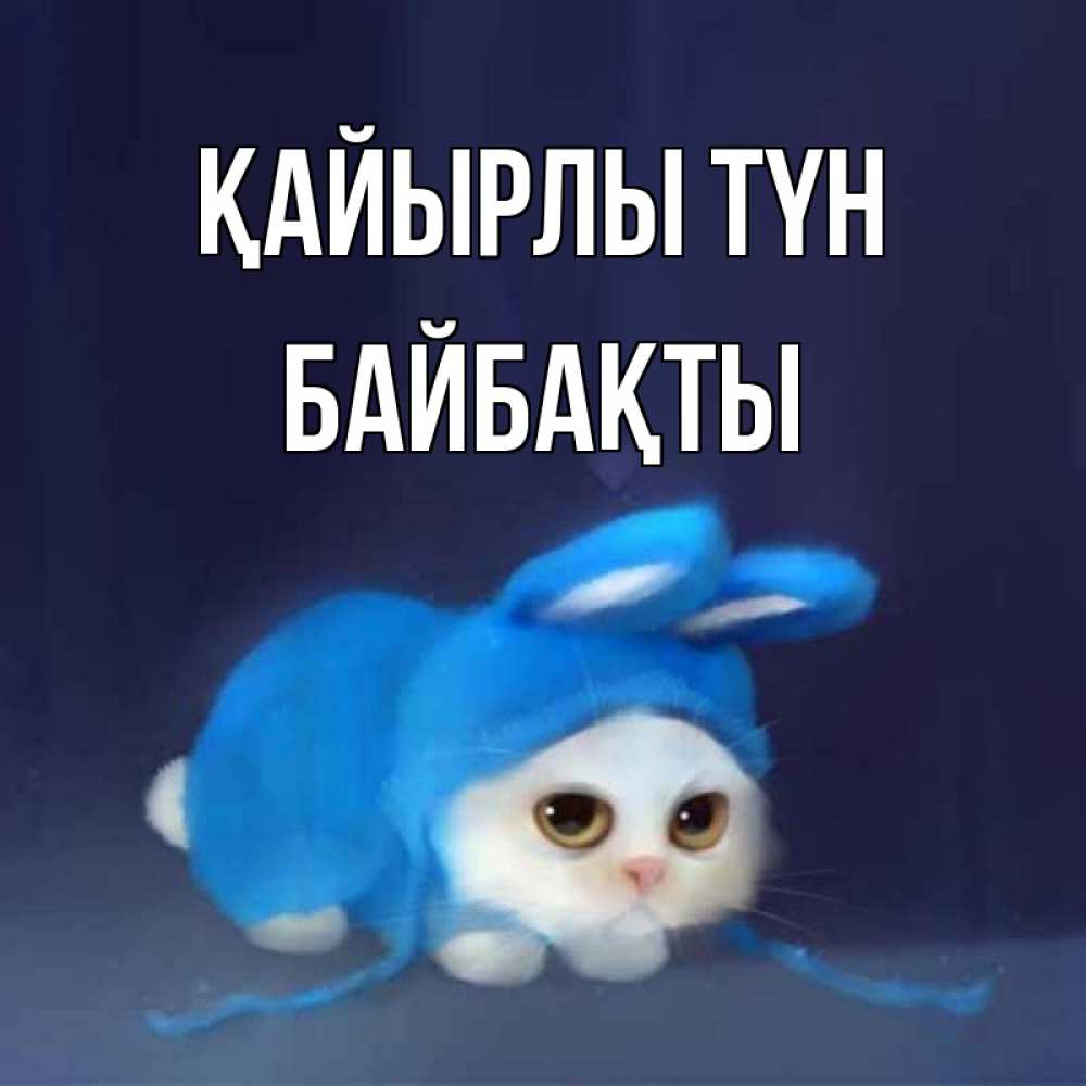 Күн сайын ашық хат с именем, Байбақты Қайырлы түн кот в голубом костюме кролика с ушками Онлайн тегін жүктеп алу тілектері бар керемет карта 