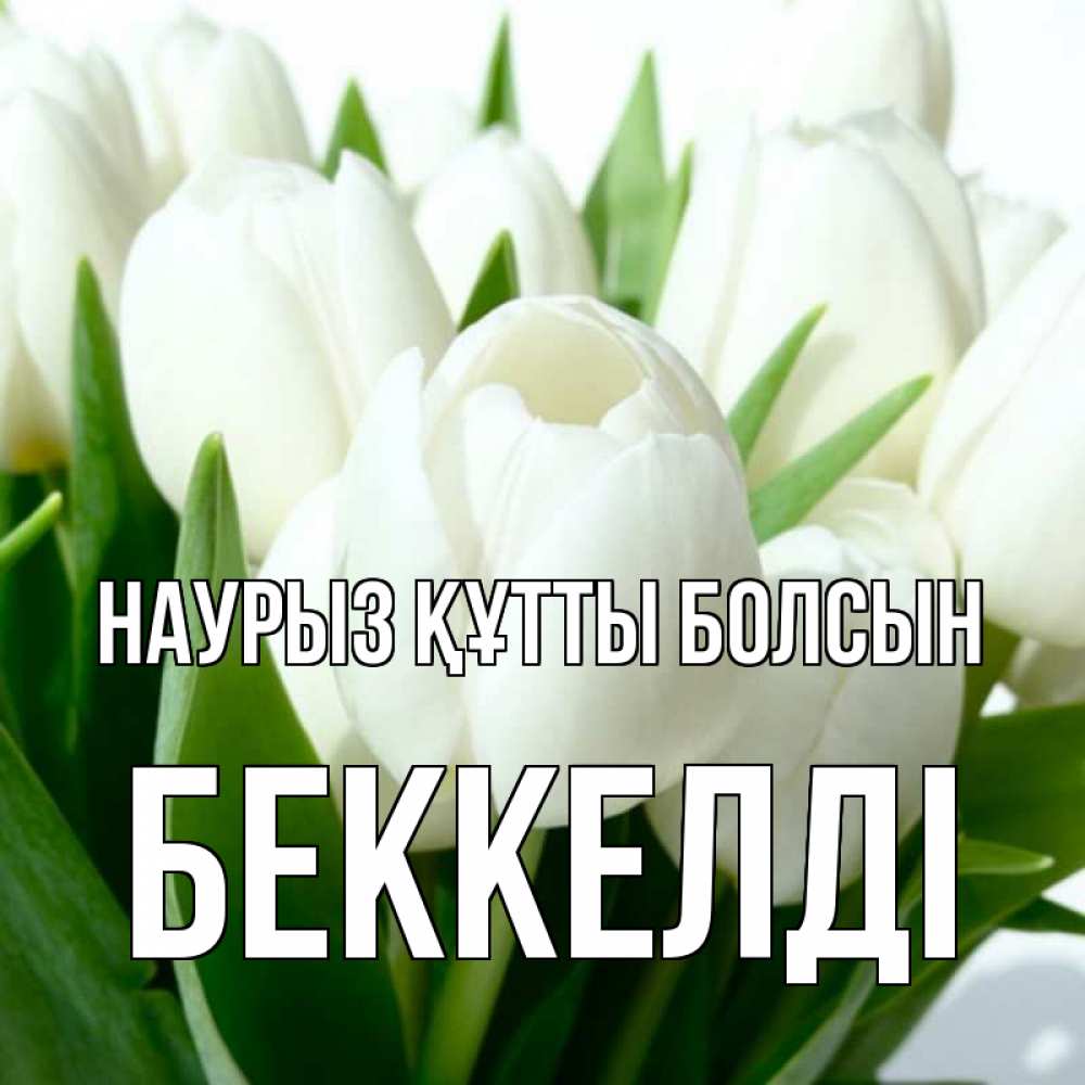Күн сайын ашық хат с именем, Беккелді Наурыз құтты болсын цветы Онлайн тегін жүктеп алу тілектері бар керемет карта 