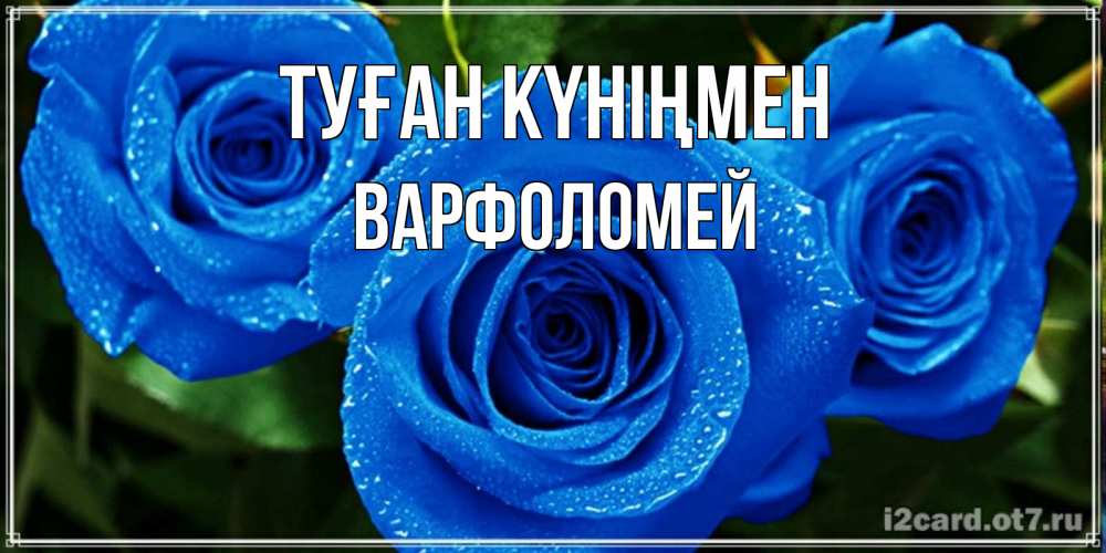 Күн сайын ашық хат с именем, Варфоломей Туған күніңмен розы с синим цветом Онлайн тегін жүктеп алу тілектері бар керемет карта 