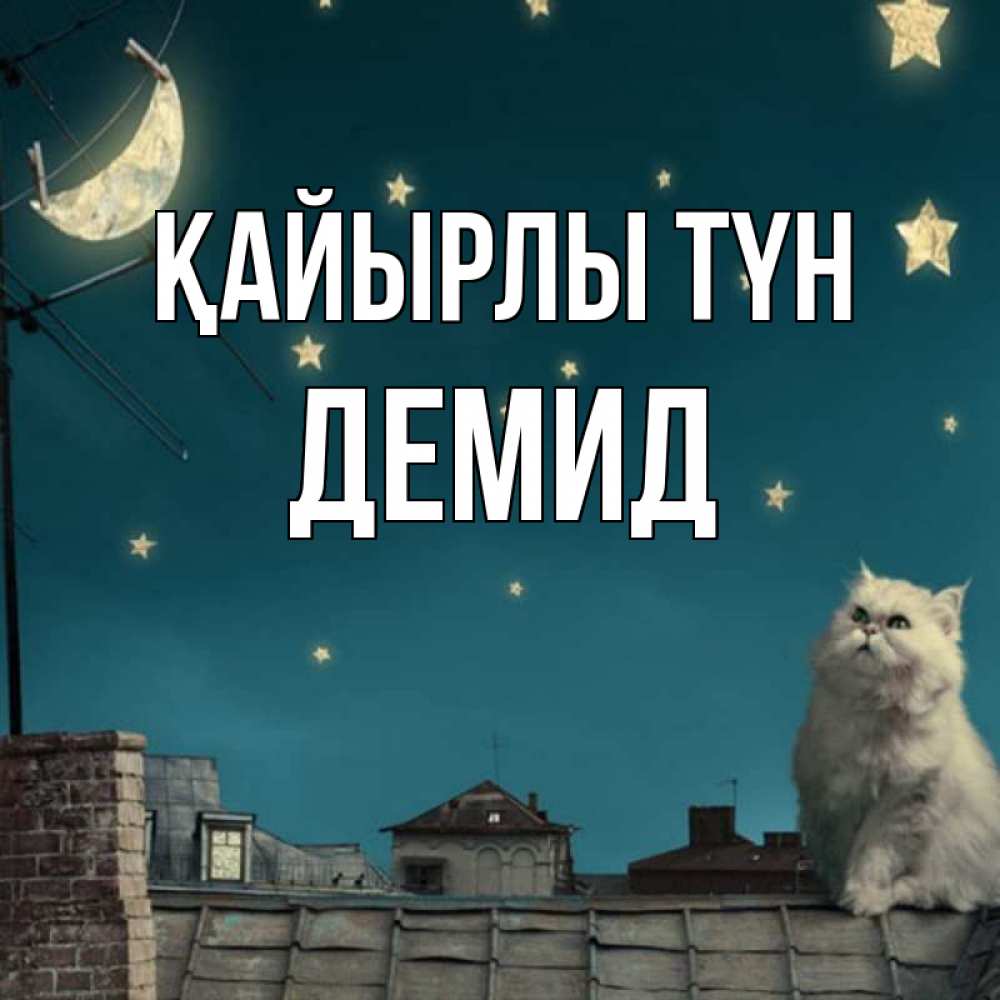 Күн сайын ашық хат с именем, Демид Қайырлы түн белый кот сидит на крыше Онлайн тегін жүктеп алу тілектері бар керемет карта 