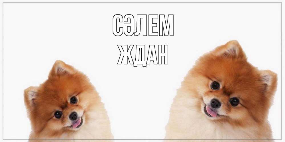 Күн сайын ашық хат с именем, Ждан Сәлем привет Онлайн тегін жүктеп алу тілектері бар керемет карта 
