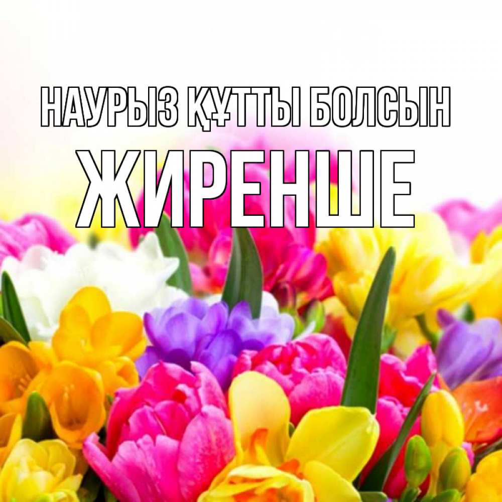 Күн сайын ашық хат с именем, Жиренше Наурыз құтты болсын тюльпаны Онлайн тегін жүктеп алу тілектері бар керемет карта 