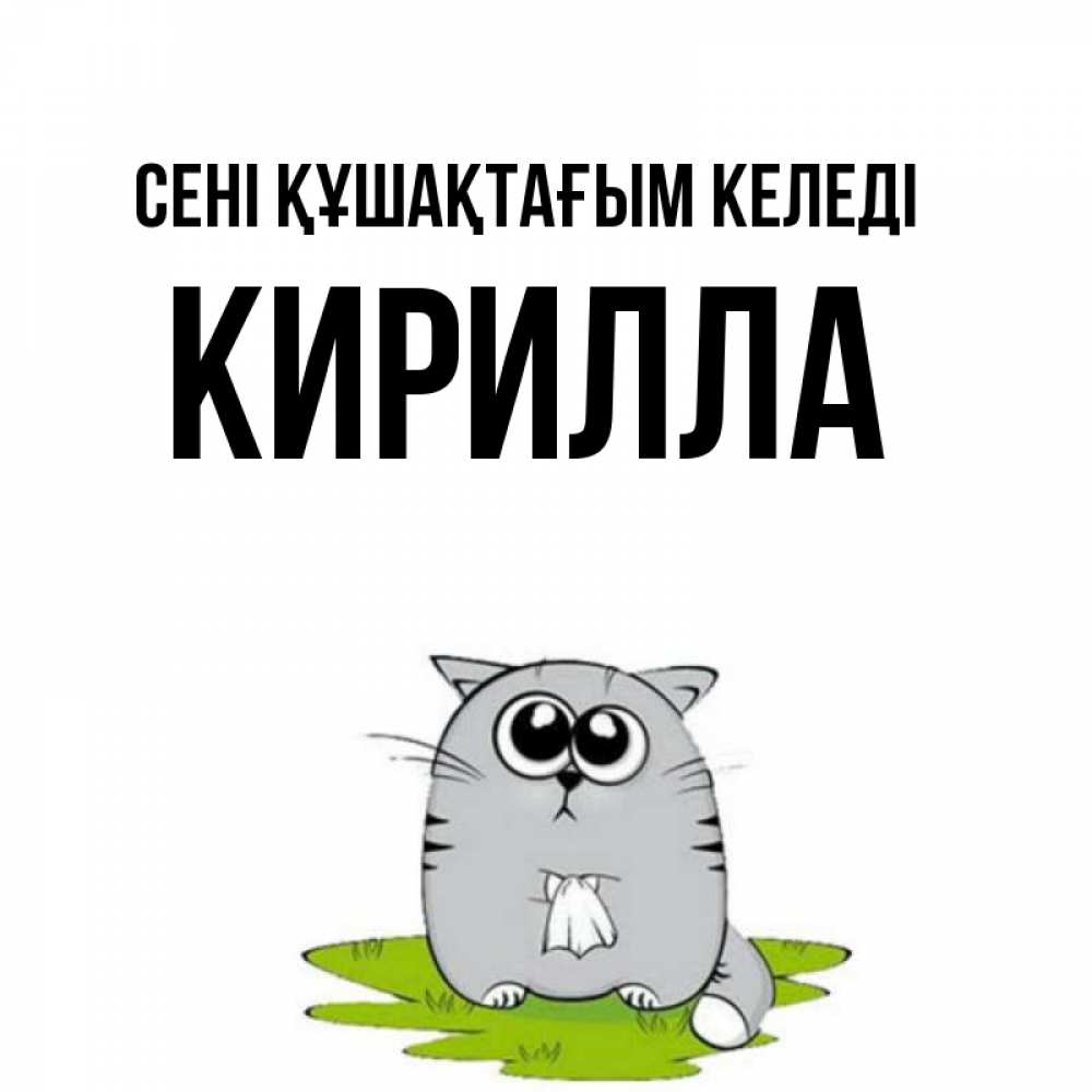 Күн сайын ашық хат с именем, Кирилла сені құшақтағым келеді котик теребит платочек сидя на травке Онлайн тегін жүктеп алу тілектері бар керемет карта 