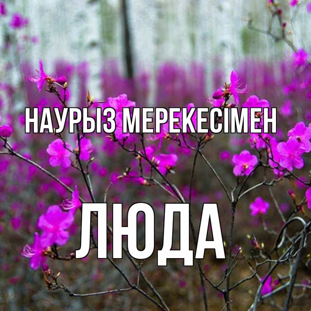 Күн сайын ашық хат с именем, Люда Наурыз мерекесімен дикие цветы Онлайн тегін жүктеп алу тілектері бар керемет карта 