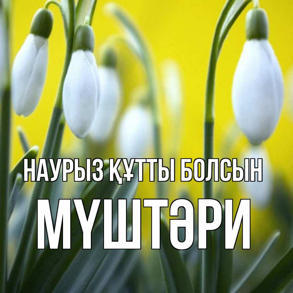 Күн сайын ашық хат с именем, МҮШТӘРИ Наурыз құтты болсын весенние цветы Онлайн тегін жүктеп алу тілектері бар керемет карта 