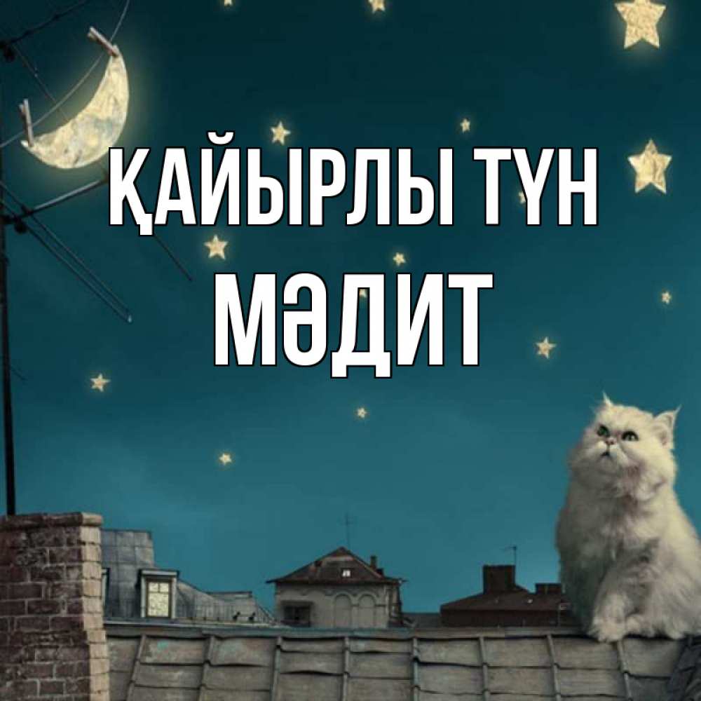 Күн сайын ашық хат с именем, МӘДИТ Қайырлы түн белый кот сидит на крыше Онлайн тегін жүктеп алу тілектері бар керемет карта 