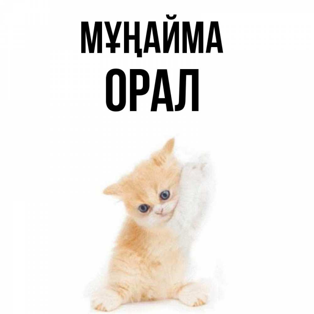 Күн сайын ашық хат с именем, ОРАЛ Мұңайма просящий кот Онлайн тегін жүктеп алу тілектері бар керемет карта 