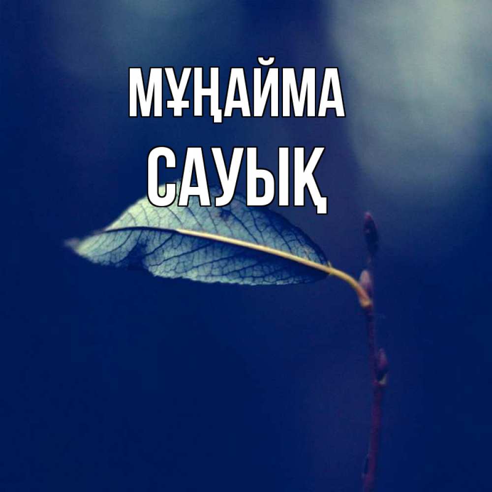 Күн сайын ашық хат с именем, САУЫҚ Мұңайма растение Онлайн тегін жүктеп алу тілектері бар керемет карта 
