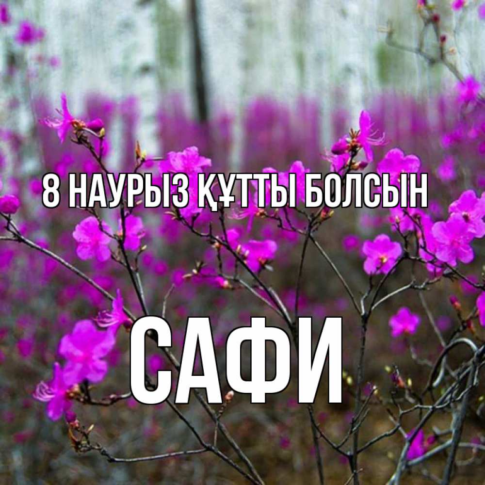 Күн сайын ашық хат с именем, САФИ 8 наурыз құтты болсын дикие цветы Онлайн тегін жүктеп алу тілектері бар керемет карта 