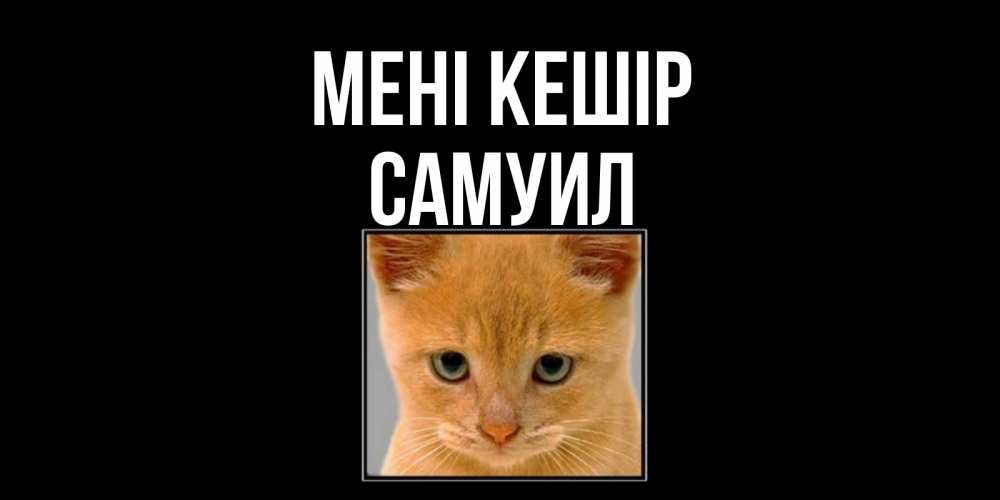 Күн сайын ашық хат с именем, Самуил Мені кешір рыжий грустный кот просит прощения Онлайн тегін жүктеп алу тілектері бар керемет карта 