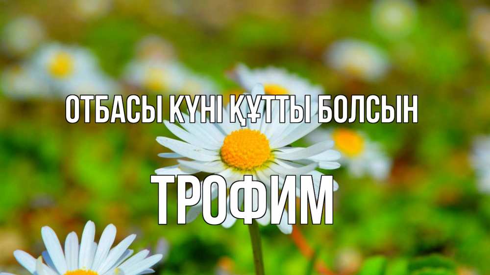 Күн сайын ашық хат с именем, Трофим отбасы күні құтты болсын с днем семьи Онлайн тегін жүктеп алу тілектері бар керемет карта 