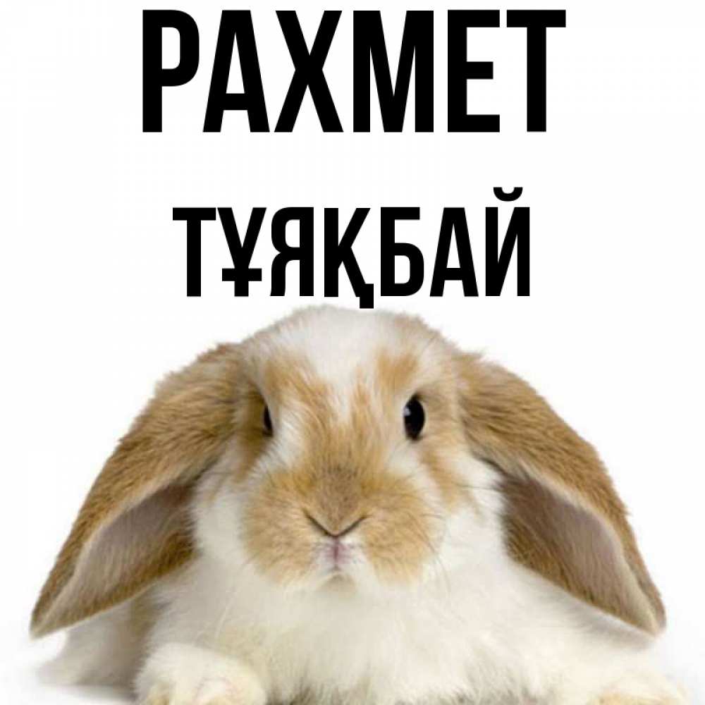 Күн сайын ашық хат с именем, ТҰЯҚБАЙ рахмет коричнево белый заяц Онлайн тегін жүктеп алу тілектері бар керемет карта 
