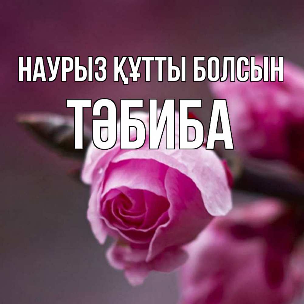 Күн сайын ашық хат с именем, ТӘБИБА Наурыз құтты болсын весна Онлайн тегін жүктеп алу тілектері бар керемет карта 