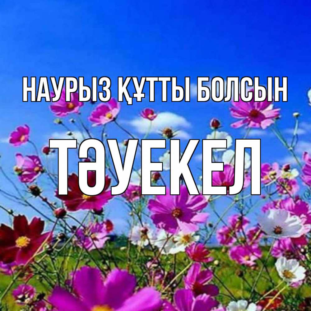 Күн сайын ашық хат с именем, ТӘУЕКЕЛ Наурыз құтты болсын цветы Онлайн тегін жүктеп алу тілектері бар керемет карта 