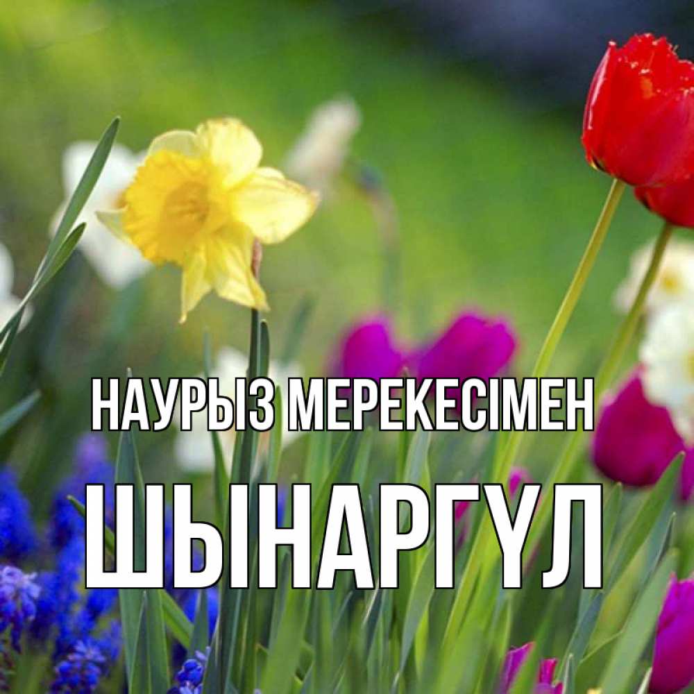 Күн сайын ашық хат с именем, ШЫНАРГҮЛ Наурыз мерекесімен праздник весны наурыз 3 Онлайн тегін жүктеп алу тілектері бар керемет карта 