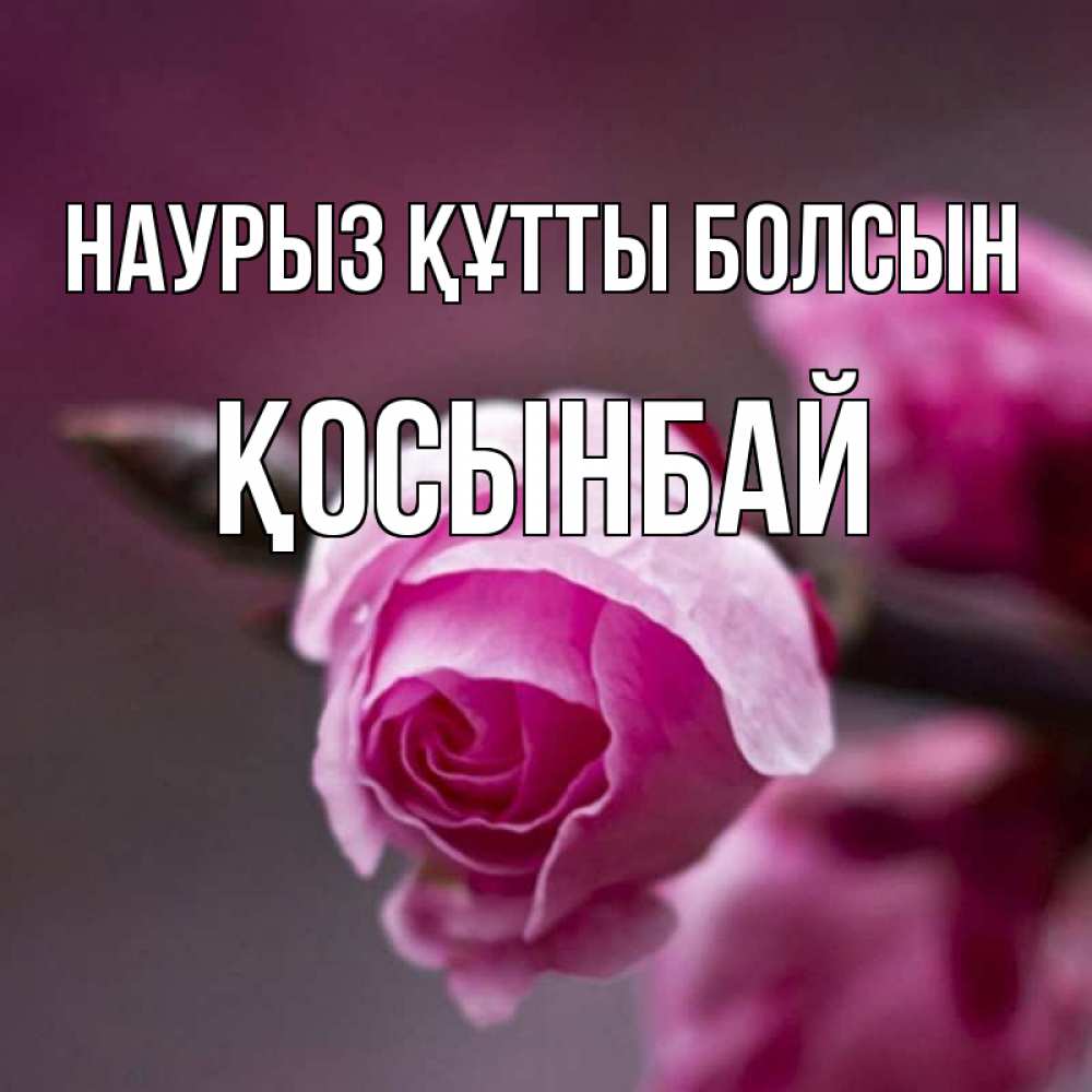 Күн сайын ашық хат с именем, ҚОСЫНБАЙ Наурыз құтты болсын весна Онлайн тегін жүктеп алу тілектері бар керемет карта 