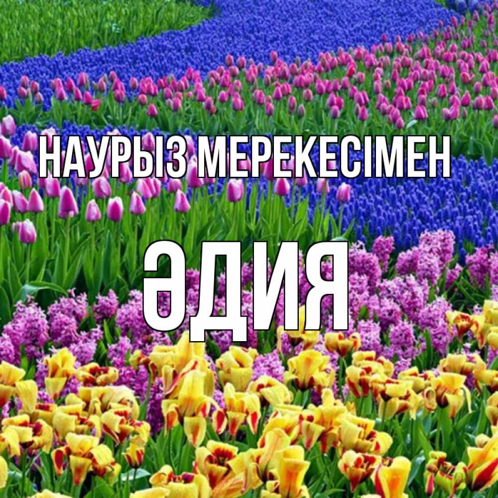 Күн сайын ашық хат с именем, ӘДИЯ Наурыз мерекесімен цветы Онлайн тегін жүктеп алу тілектері бар керемет карта 