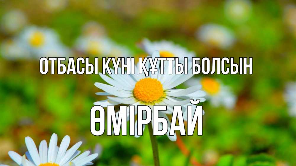 Күн сайын ашық хат с именем, ӨМІРБАЙ отбасы күні құтты болсын с днем семьи Онлайн тегін жүктеп алу тілектері бар керемет карта 