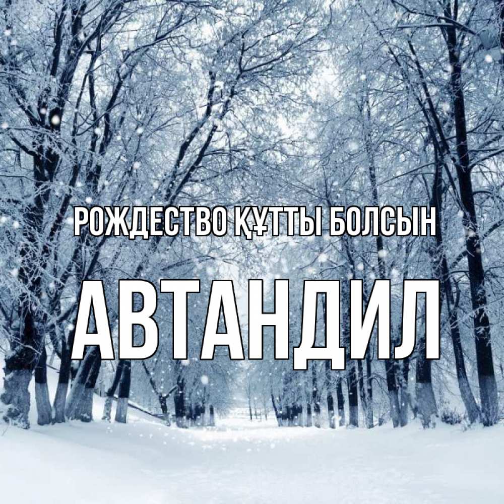 Күн сайын ашық хат с именем, Автандил Рождество құтты болсын снег, лес, парк Онлайн тегін жүктеп алу тілектері бар керемет карта 