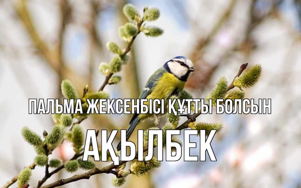 Күн сайын ашық хат с именем, Ақылбек Пальма жексенбісі құтты болсын верба Онлайн тегін жүктеп алу тілектері бар керемет карта 