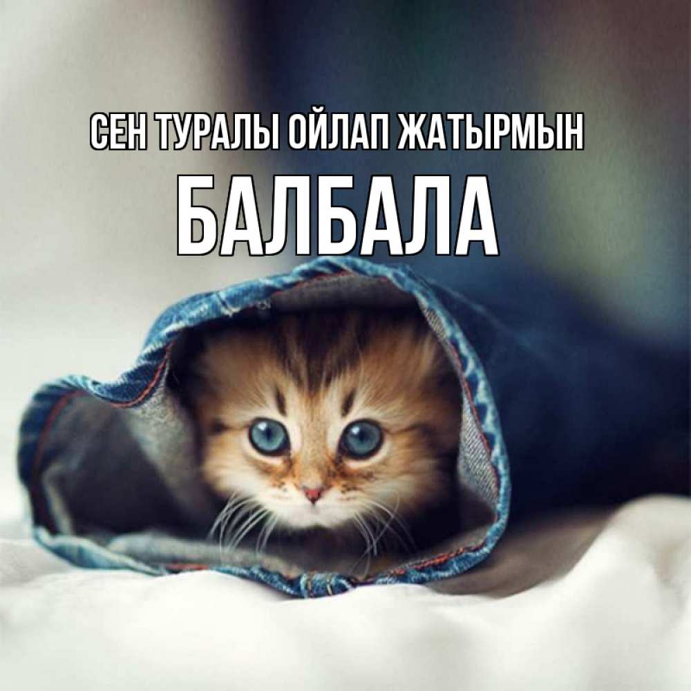 Күн сайын ашық хат с именем, БАЛБАЛА Сен туралы ойлап жатырмын мне без тебя плохо Онлайн тегін жүктеп алу тілектері бар керемет карта 